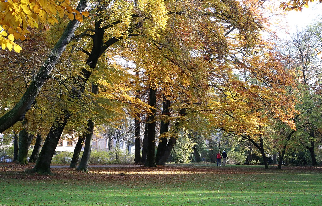 Maximilianeum: o parque Maximiliansanlagen - Foto de Rufus46 em WikimediaCommons