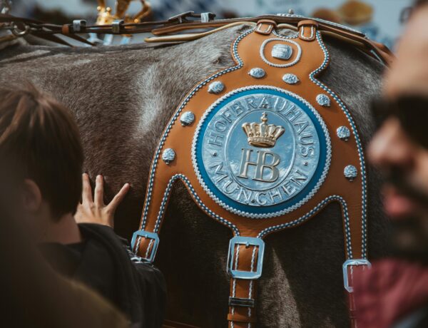 Hofbräuhaus: A Cervejaria Mais Famosa de Munique - Foto de Bastian Riccardi no Pexels