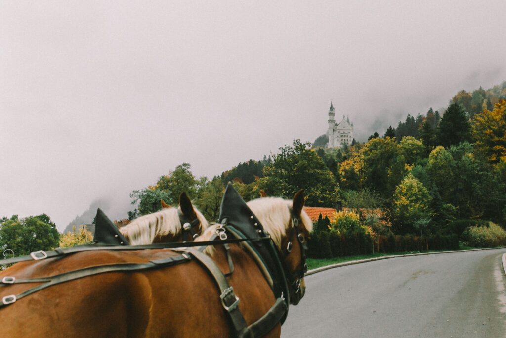 Como subir até o Castelo de Neuschwanstein? - a Nataliya Vaitkevich no Pexels