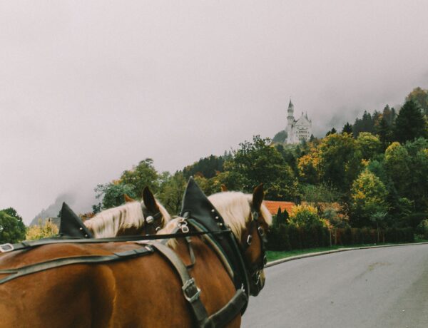 Como subir até o Castelo de Neuschwanstein? - a Nataliya Vaitkevich no Pexels